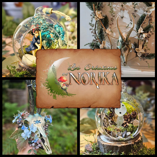 Les Créations de Norika